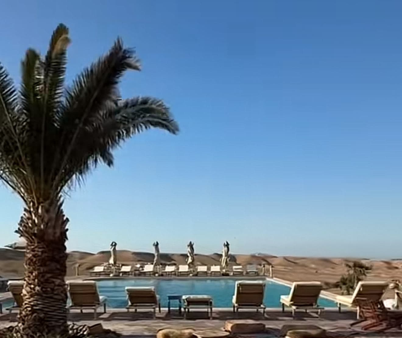 A pool with sun loungers and a palm tree at a desert camp in Agafay, with the bare desert hills behind.