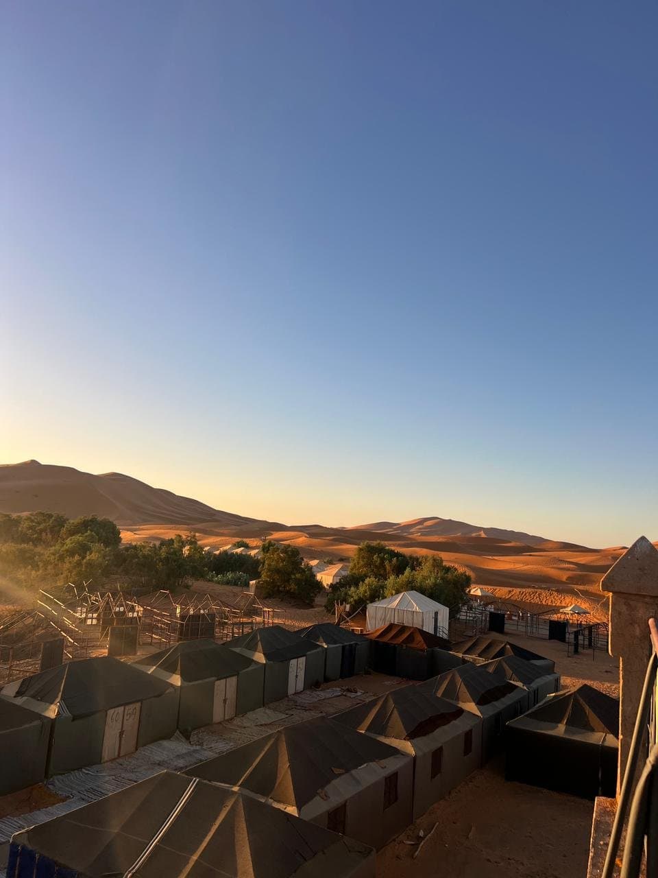 Tents at our Erg Chebbi desert camp at sunrise.
