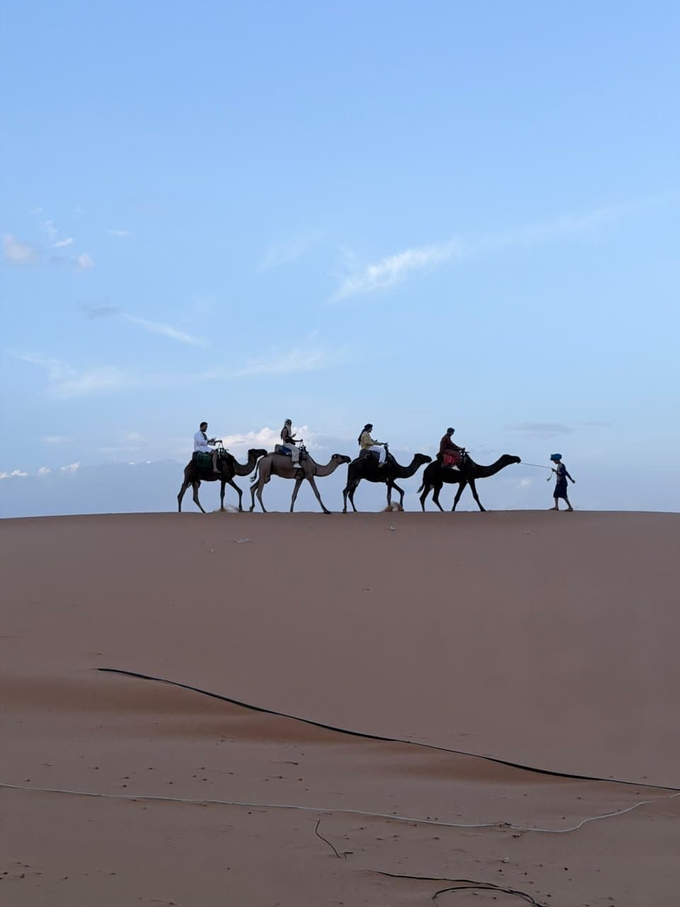 A camel caravan walking the ridge of the Erg Chebbi dunes near Merzouga.