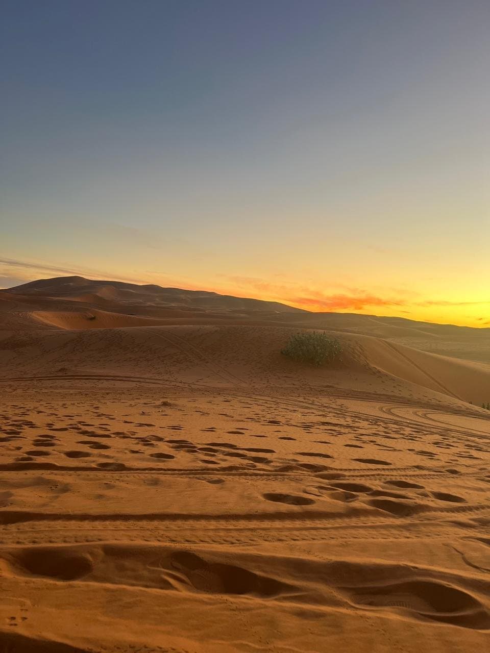 Footprints across the Erg Chebbi dunes near Merzouga at sunrise.