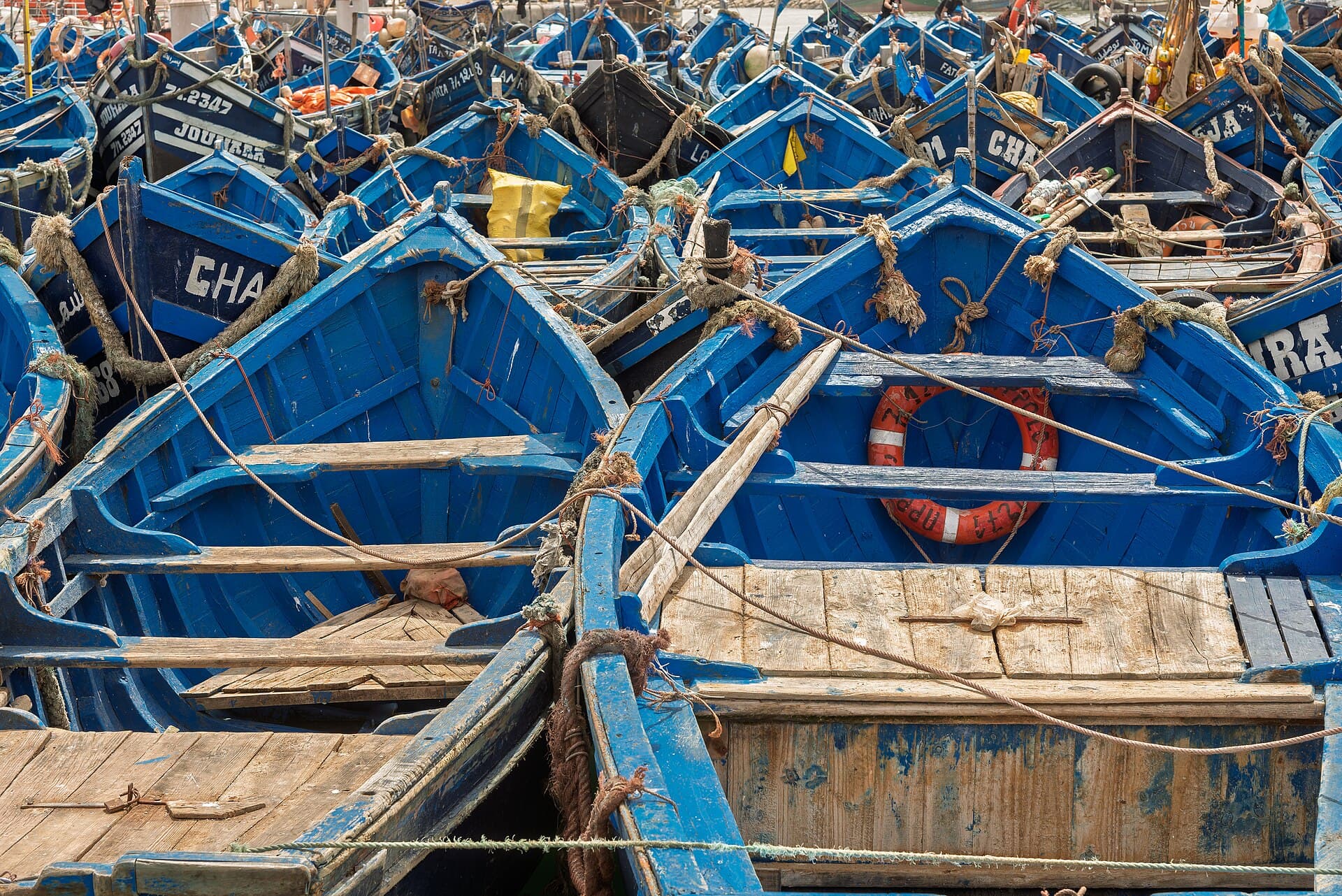 Blue wooden fishing boats moored in the port of Essaouira on Morocco's Atlantic coast.